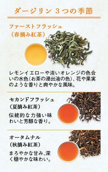 紅茶の旬を楽しむ 世界のお茶専門店 ルピシア 紅茶 緑茶 烏龍茶 ハーブ