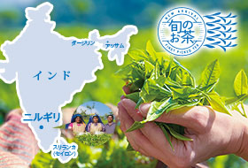 �j���M��