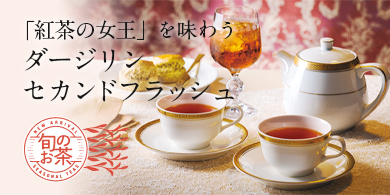 ルピシア他 空箱3箱 チャーム(ペンギン)茶器付き LUPICIA】空と海と ソラトウミト | 特別商品・お取り寄せ