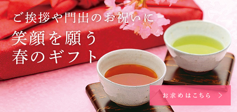 ちゃみたる様専用 ちゃる様専用 ちゃる。さま専用 希少大人気 m