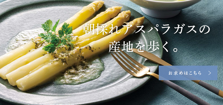 ΃AXpKX̖FȂ͂