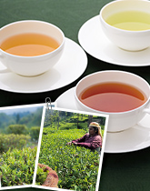 ���E�̖����Ƃ̏o�