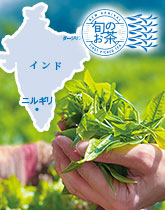 �j���M���̏{�̂���