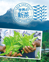 �p�����g���̓��Z�C��������Җ]�̐V��������