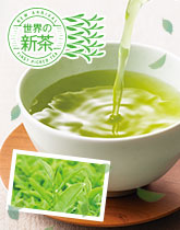 ��B�E�������A�É����瓞���I���{�V��2026