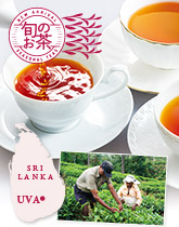 �Z�C��������Җ]�̃E�o �N�I���e�B�[�������I
