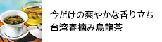 ̑u₩ȍ藧 ptE݉G