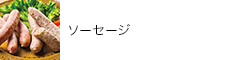 \[Z[W