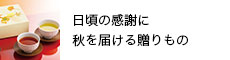 H͂鑡