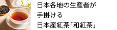 {Yguagv