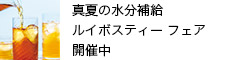 ���C�{�X�e�B�[�t�F�A