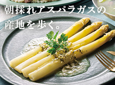 AXpKX
