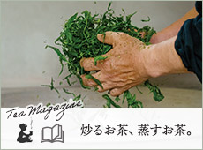 WFĂI ЂBiTea Magazinej