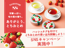 �Ƃ����Ƃ�SNS�L�����y�[��