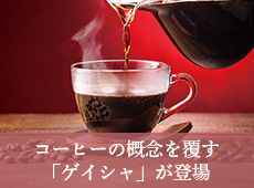 �R�[�q�[