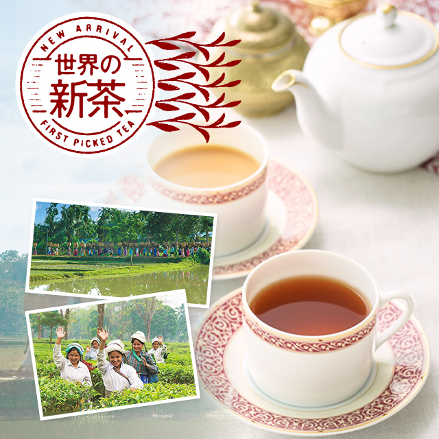 LUPICIA】ダージリン セカンドフラッシュ 2025: | LUPICIA ONLINE