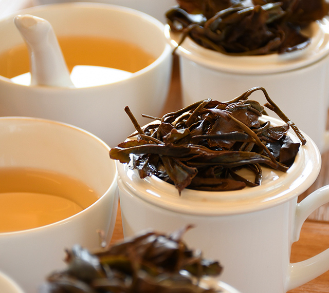 LUPICIA】ダージリン ファーストフラッシュ 2025: | LUPICIA ONLINE