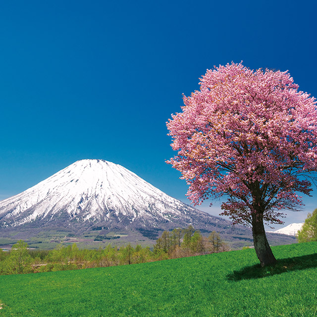 ���A�u���b�T��