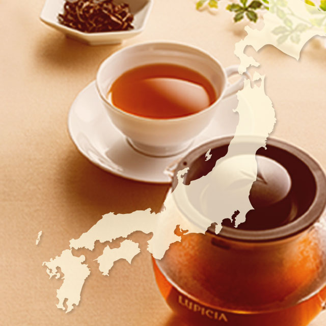 LUPICIA】ダージリン ファーストフラッシュ 2026: | LUPICIA ONLINE