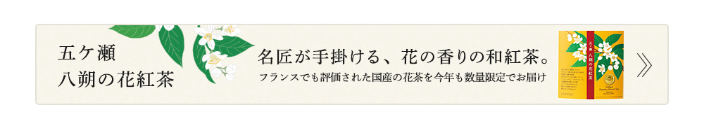 ܃ ̉ԍg