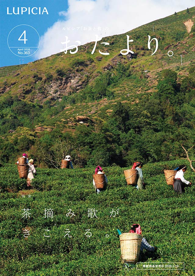 �������B