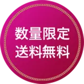 数量限定 送料無料