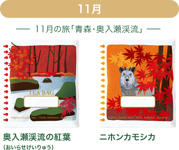 11月