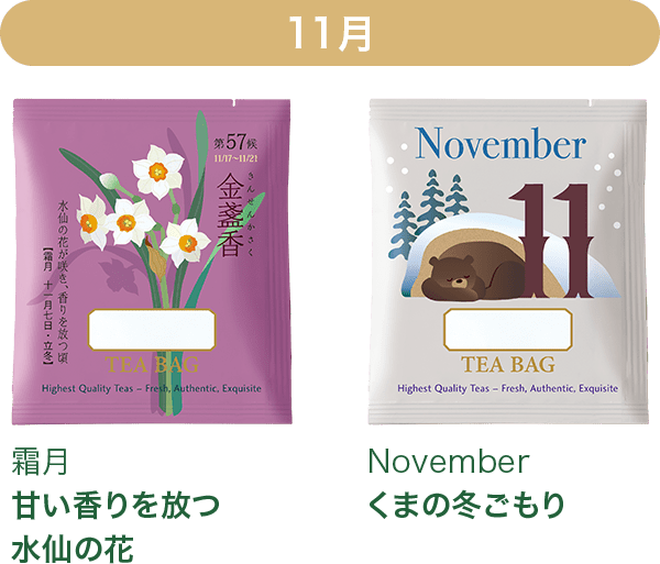 11月