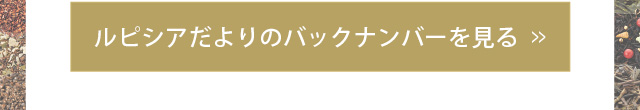 ルピシアだより2012-2023.12年分セット！＋おまけ LUPICIA】ルピシアだよりは300号を迎えました | LUPICIA ONLINE