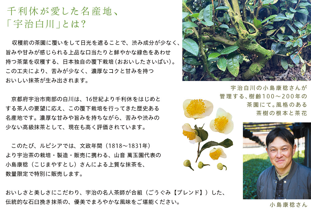 �F������ɂ���