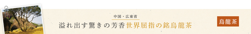 �P���P�p ����