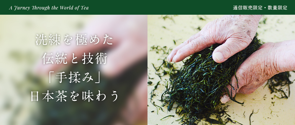 洗練を極めた伝統と技術「手揉み」日本茶を味わう