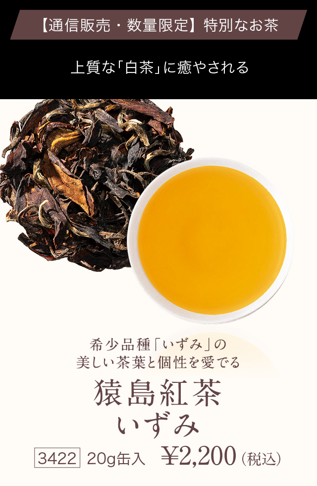 LUPICIA】猿島紅茶 いずみ Sashima Black Tea Izumi | お茶 | LUPICIA