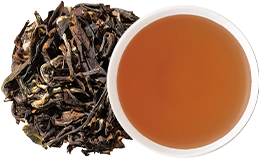 �������l 2025