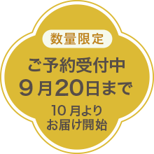 ���\���ݎ�t��