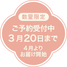 ���\���ݎ�t��