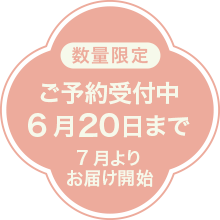 ���\���ݎ�t��