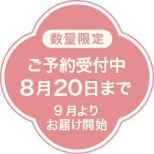 \ݎt