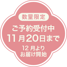 \ݎt
