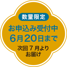 \ݎt